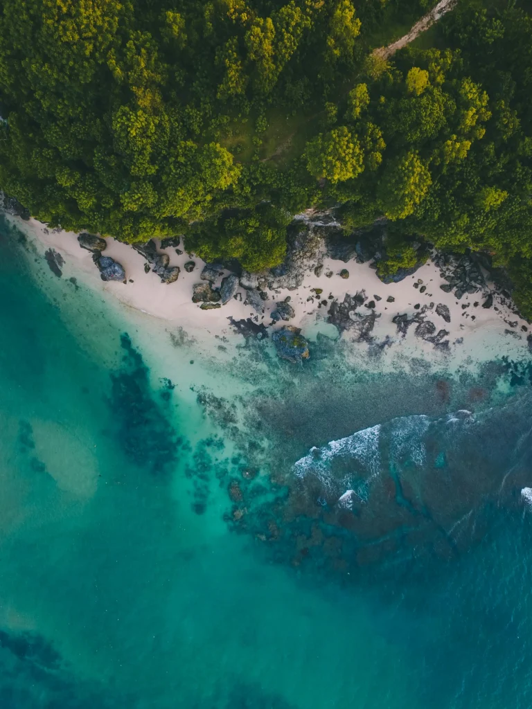The Rise of Mass Tourism